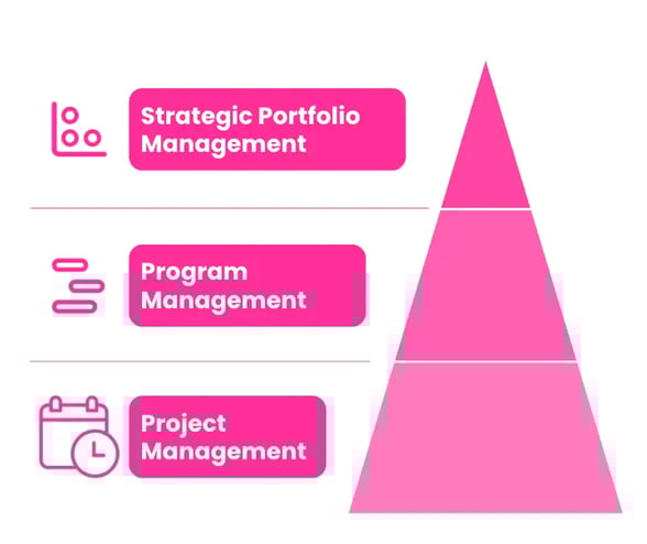 A pyramid hierarchy of Strategic Portfolio Management, compared to Program Management and Project Management