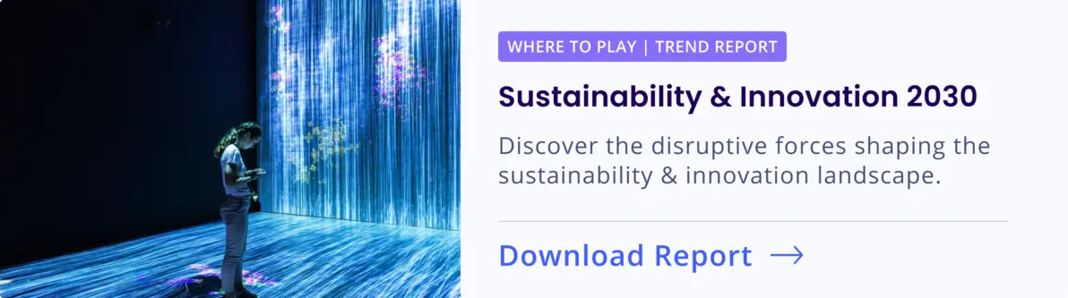 Free Download: Sustainability & Innovation 2030